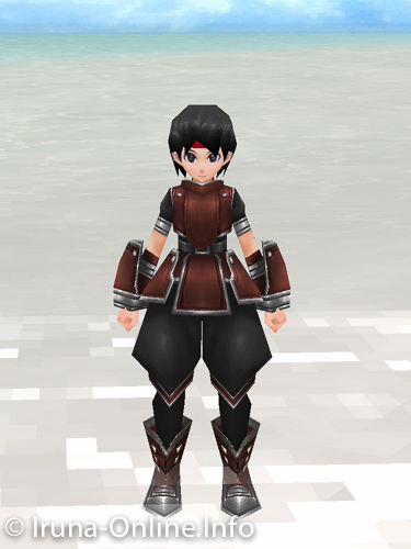 item_image_Leather Armor